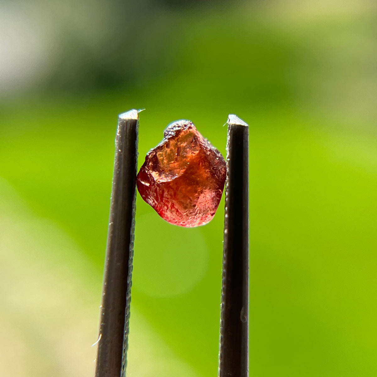 Rough Uncut Rust Red Montana Sapphire
