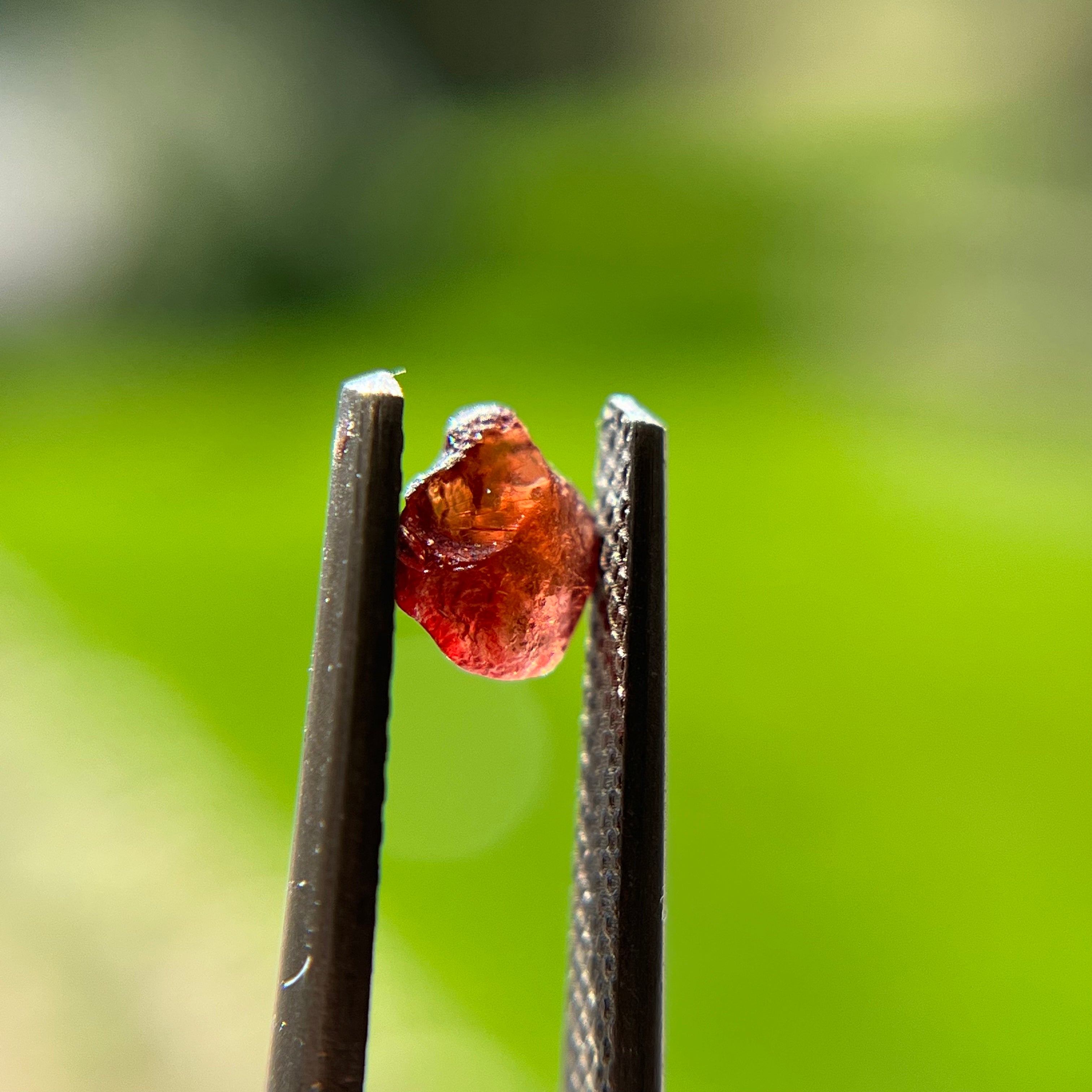 Rough Uncut Rust Red Montana Sapphire