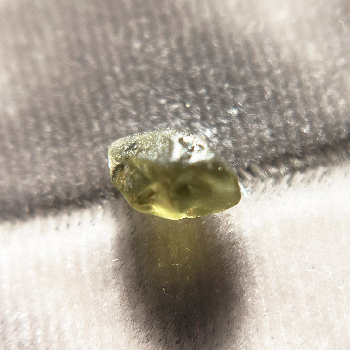 Rough Australian Olive Green Sapphire