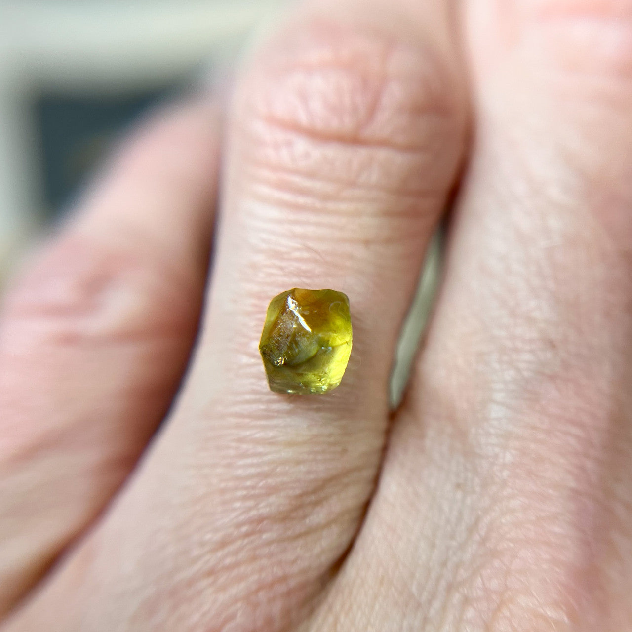 Organically Faceted Yellow Green Sapphire